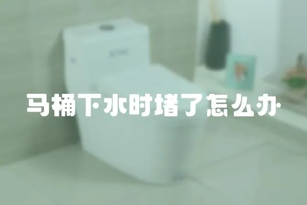 馬桶下水時堵了怎么辦