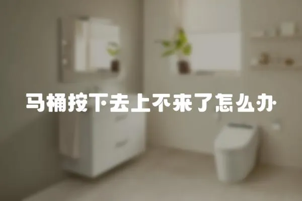 馬桶按下去上不來了怎么辦