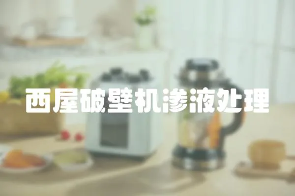 西屋破壁機滲液處理