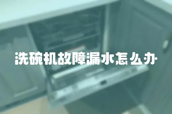 洗碗機故障漏水怎么辦