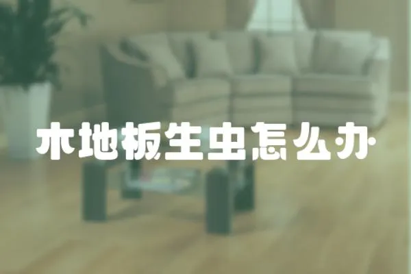 木地板生蟲怎么辦