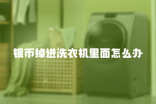 銀幣掉進(jìn)洗衣機(jī)里面怎么辦