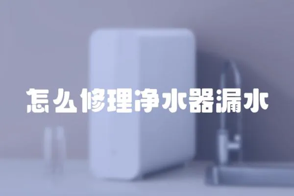 怎么修理凈水器漏水