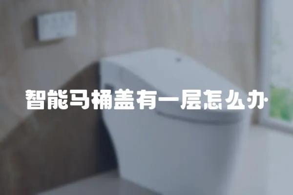 智能馬桶蓋有一層怎么辦