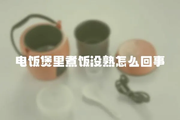 電飯煲里煮飯沒(méi)熟怎么回事