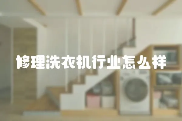 修理洗衣機行業(yè)怎么樣
