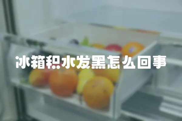 冰箱積水發黑怎么回事