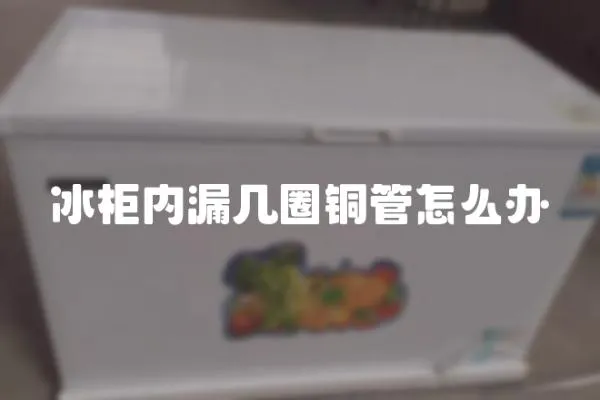 冰柜內漏幾圈銅管怎么辦