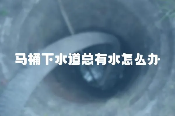 馬桶下水道總有水怎么辦