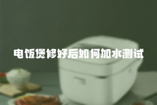 电饭煲修好后如何加水测试