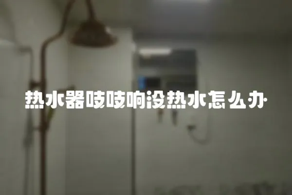 熱水器吱吱響沒熱水怎么辦