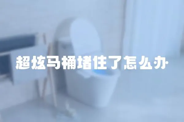 超炫馬桶堵住了怎么辦
