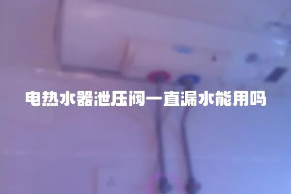 電熱水器泄壓閥一直漏水能用嗎