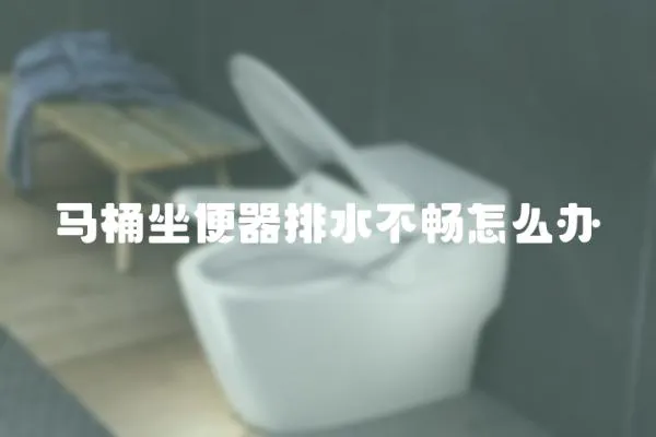 馬桶坐便器排水不暢怎么辦