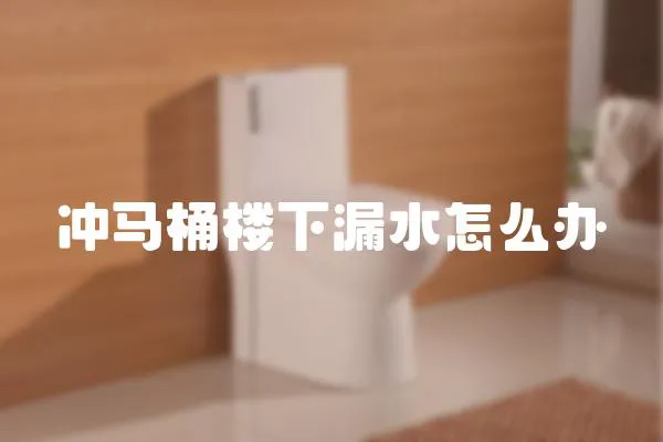 沖馬桶樓下漏水怎么辦
