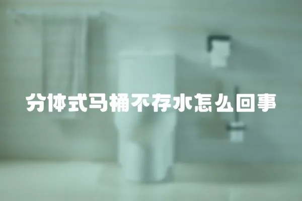 分體式馬桶不存水怎么回事