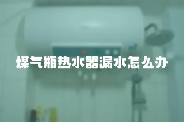 煤氣瓶熱水器漏水怎么辦