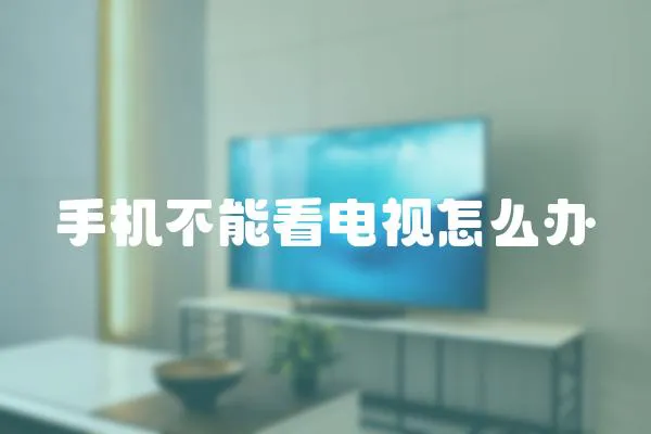 手機不能看電視怎么辦