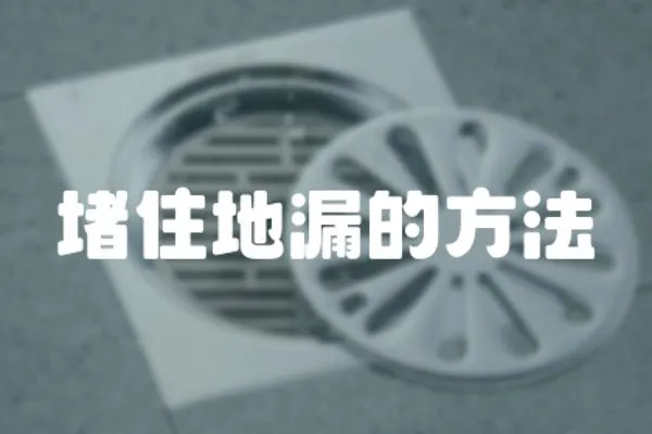 堵住地漏的方法