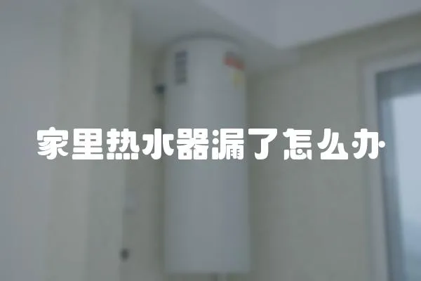 家里熱水器漏了怎么辦