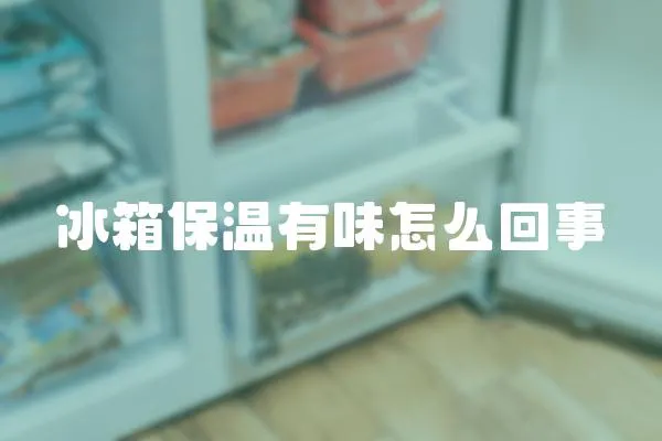 冰箱保溫有味怎么回事