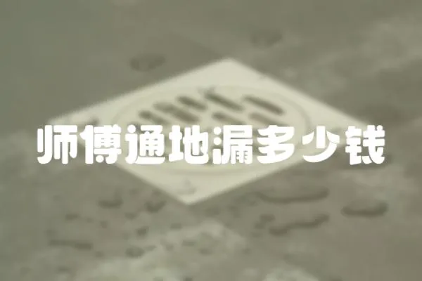 師傅通地漏多少錢