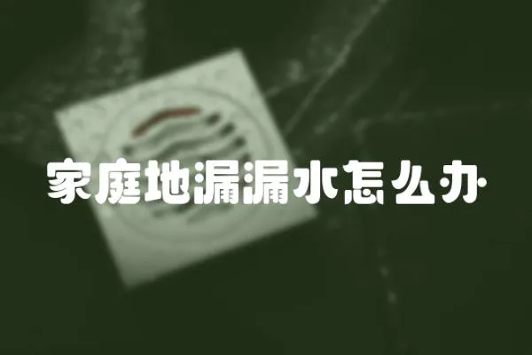 家庭地漏漏水怎么辦