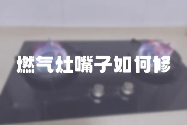 燃?xì)庠钭熳尤绾涡?></a></div>
                    <div   id=