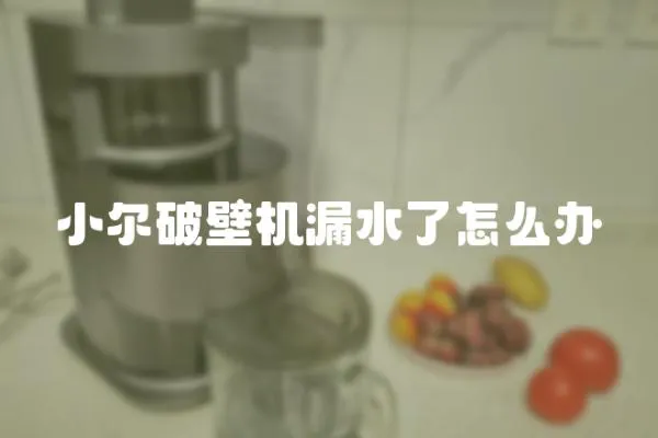 小爾破壁機漏水了怎么辦