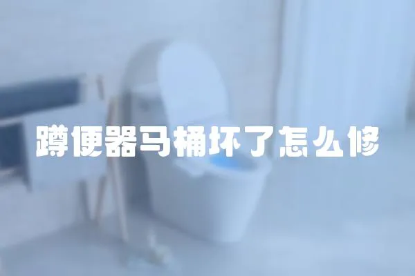 蹲便器馬桶壞了怎么修