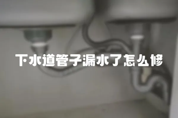 下水道管子漏水了怎么修