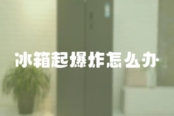 冰箱起爆炸怎么辦