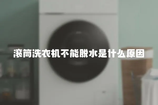 滾筒洗衣機不能脫水是什么原因