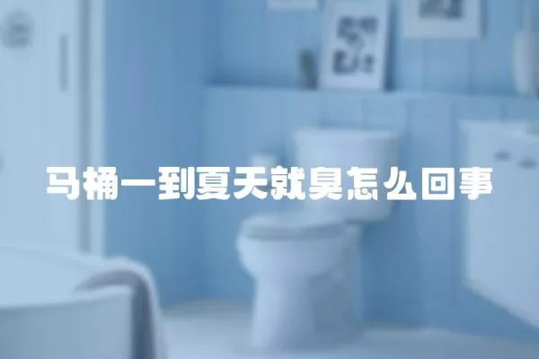 馬桶一到夏天就臭怎么回事
