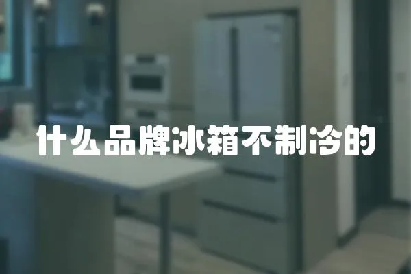什么品牌冰箱不制冷的