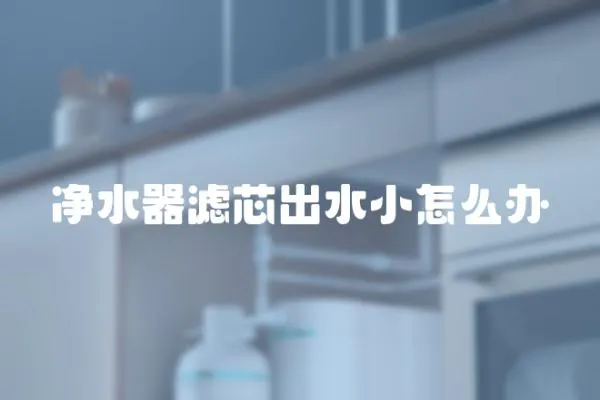 凈水器濾芯出水小怎么辦