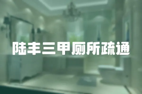 陸豐三甲廁所疏通