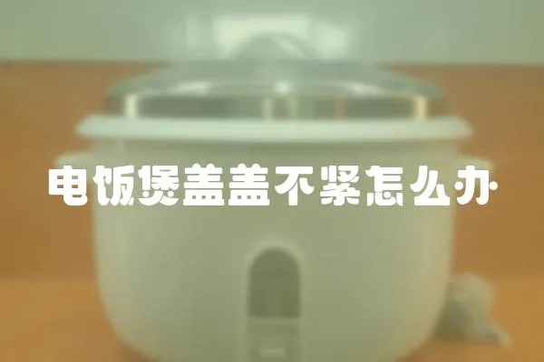 電飯煲蓋蓋不緊怎么辦