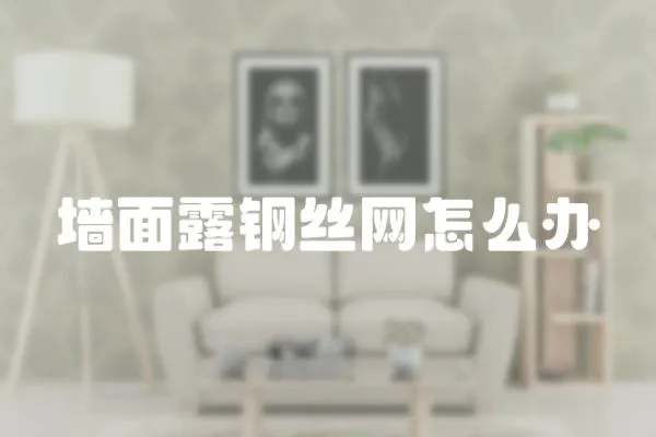 墻面露鋼絲網怎么辦