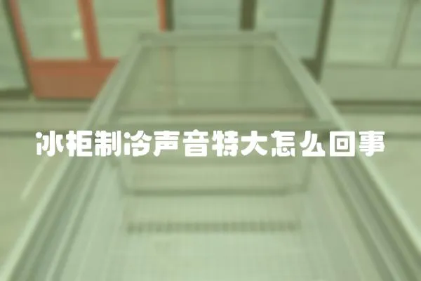 冰柜制冷聲音特大怎么回事