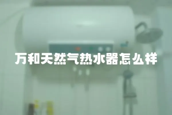 萬和天然氣熱水器怎么樣