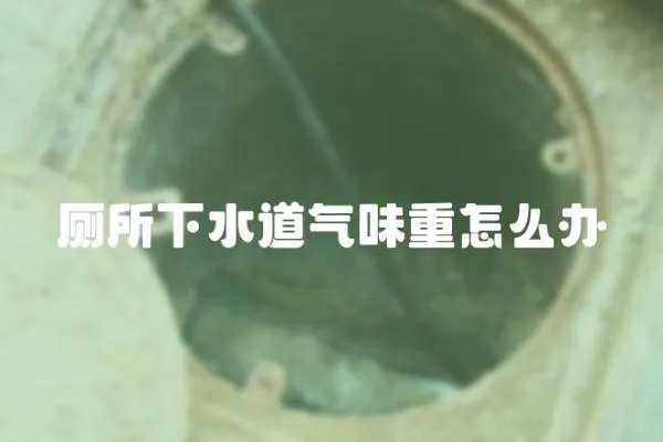 廁所下水道氣味重怎么辦