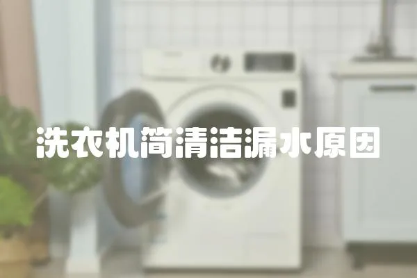 洗衣機簡清潔漏水原因