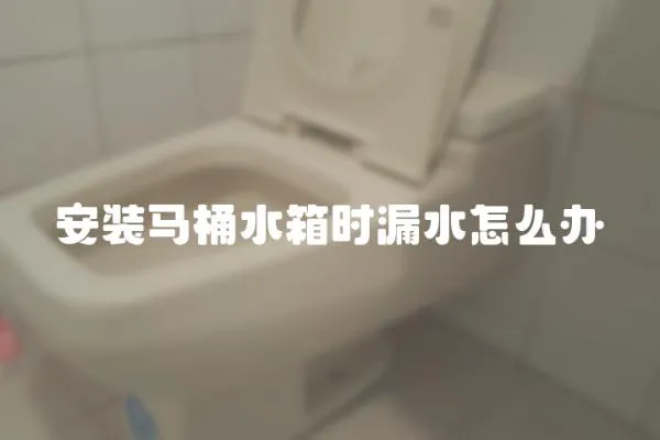 安裝馬桶水箱時漏水怎么辦