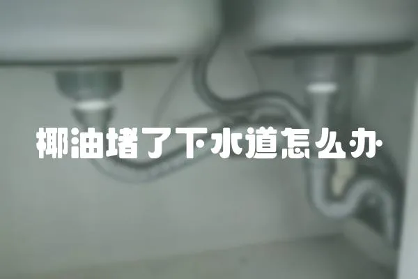 椰油堵了下水道怎么辦