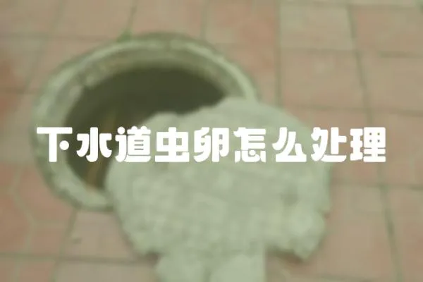 下水道蟲卵怎么處理