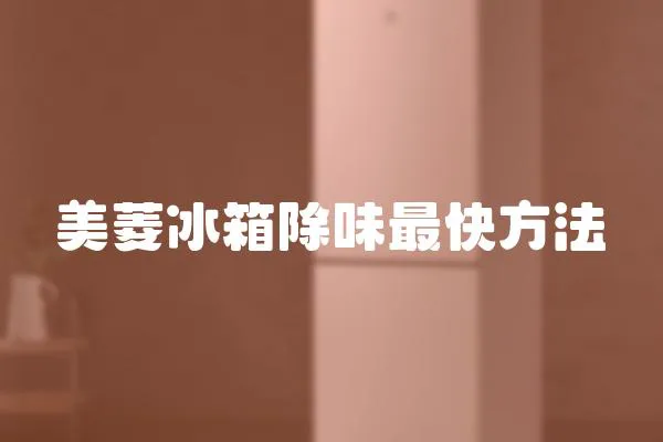 美菱冰箱除味最快方法