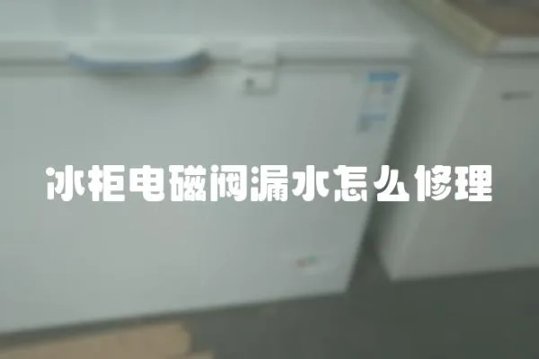 冰柜電磁閥漏水怎么修理