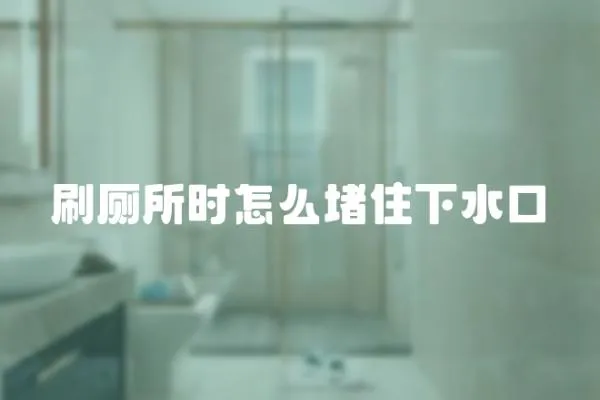 刷廁所時怎么堵住下水口