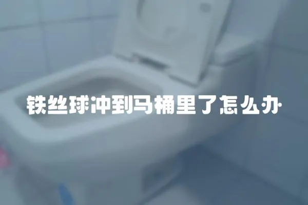 铁丝球冲到马桶里了怎么办